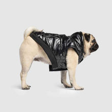 Load image into Gallery viewer, Canada Pooch - Shiny Puffer Vest (Black)