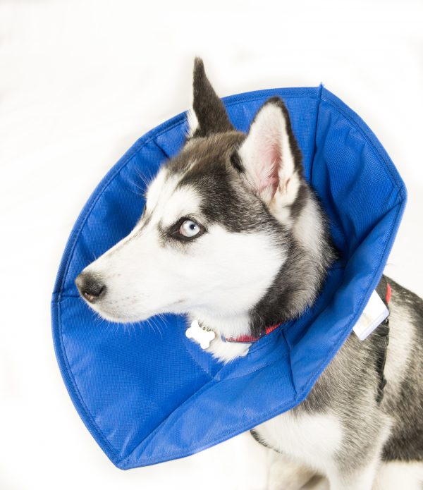 MDC SoftE Collar Cone