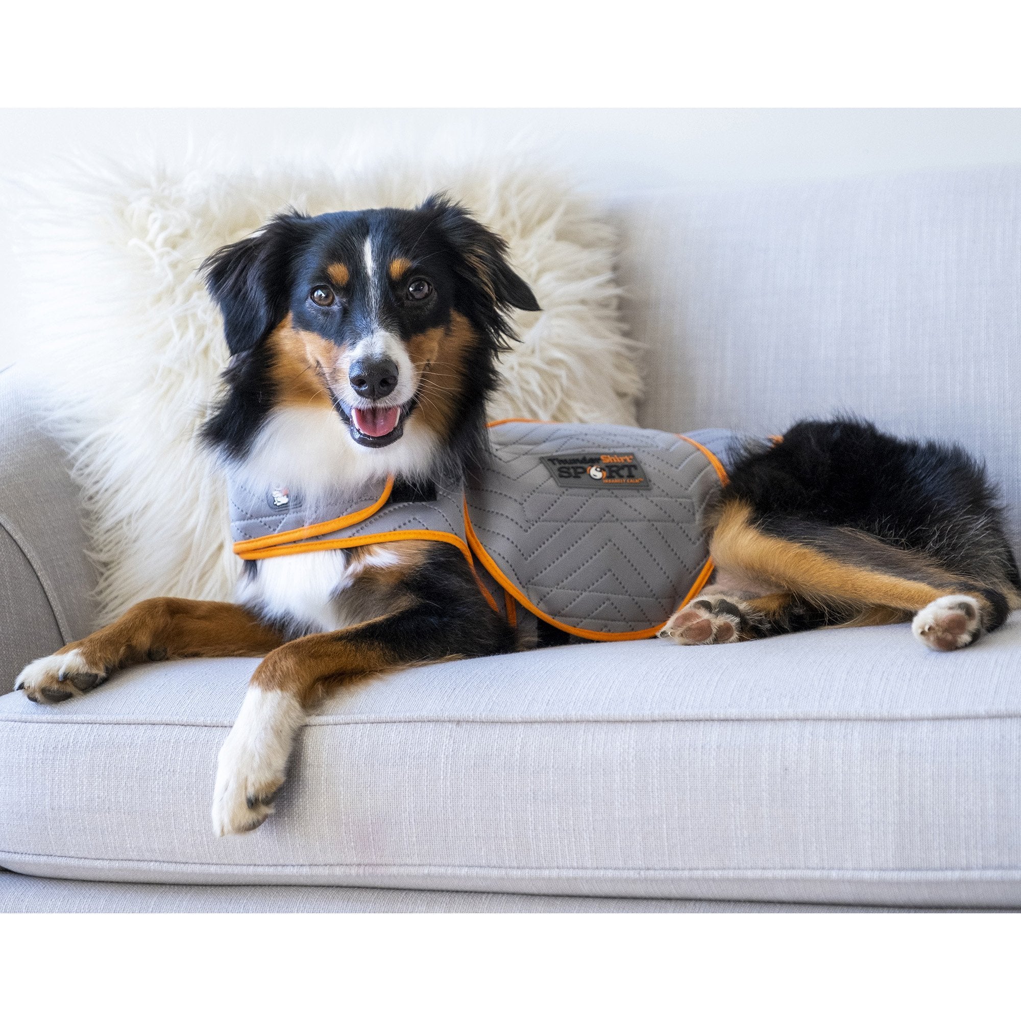 Thunder Shirt Sport – Woofur Natural Pet Products