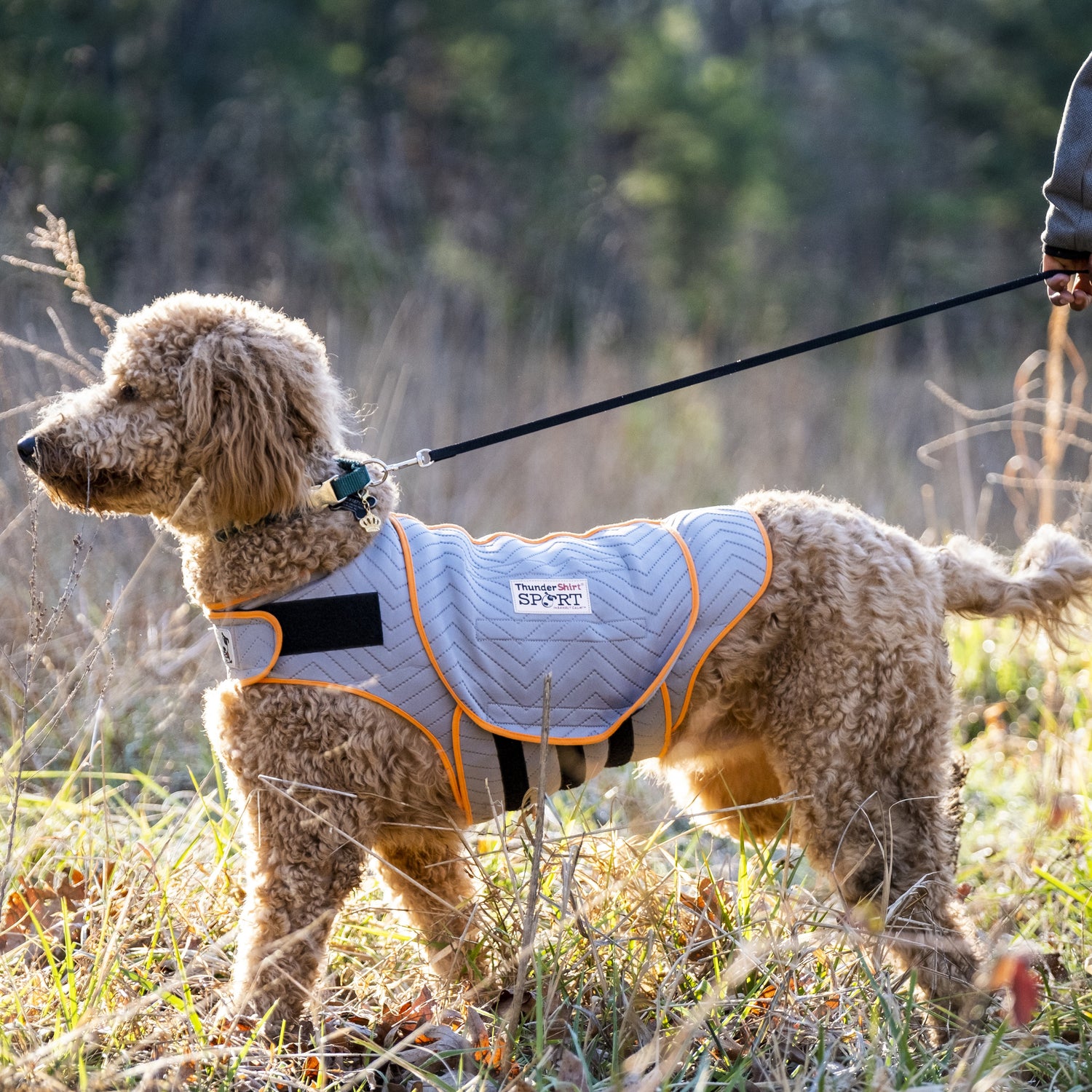Thunder - Shirt Sport - Chubbs Bars, Toys - pet shampoo, Woofur - Chubbs Bars Company, Woofur Natural Pet Products - Chubbs Bars Canada