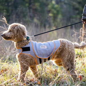 Thunder - Shirt Sport - Chubbs Bars, Toys - pet shampoo, Woofur - Chubbs Bars Company, Woofur Natural Pet Products - Chubbs Bars Canada