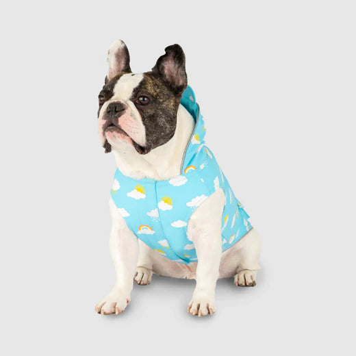 Canada Pooch - Wet Reveal Torrential Tracker Blue Clouds