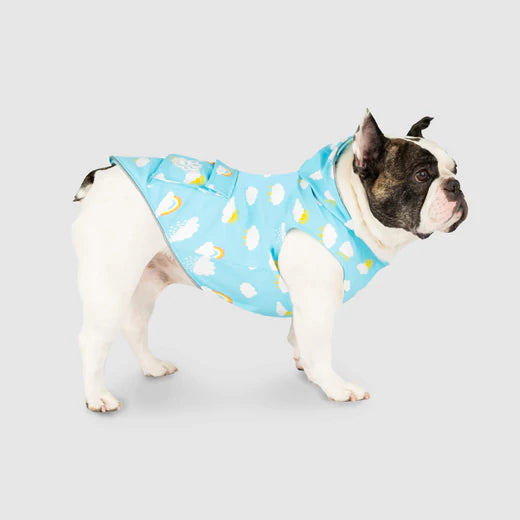 Canada Pooch - Wet Reveal Torrential Tracker Blue Clouds