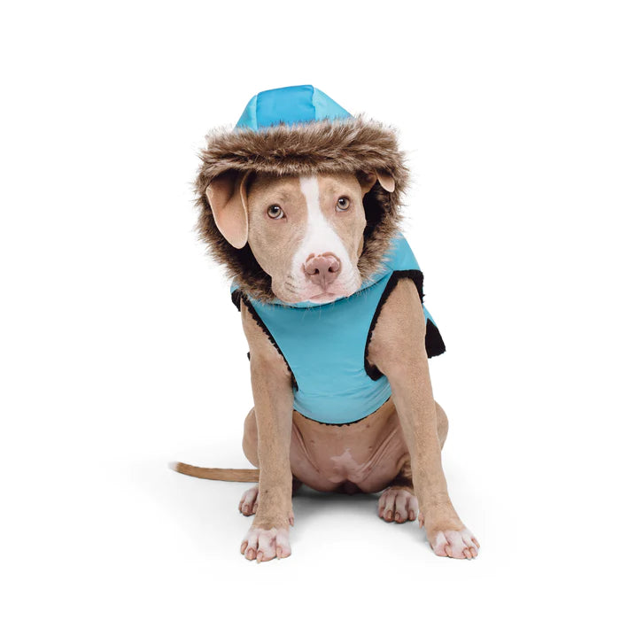Show & Tail - The Fur-ever Coat Blue