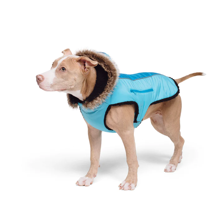 Show & Tail - The Fur-ever Coat Blue