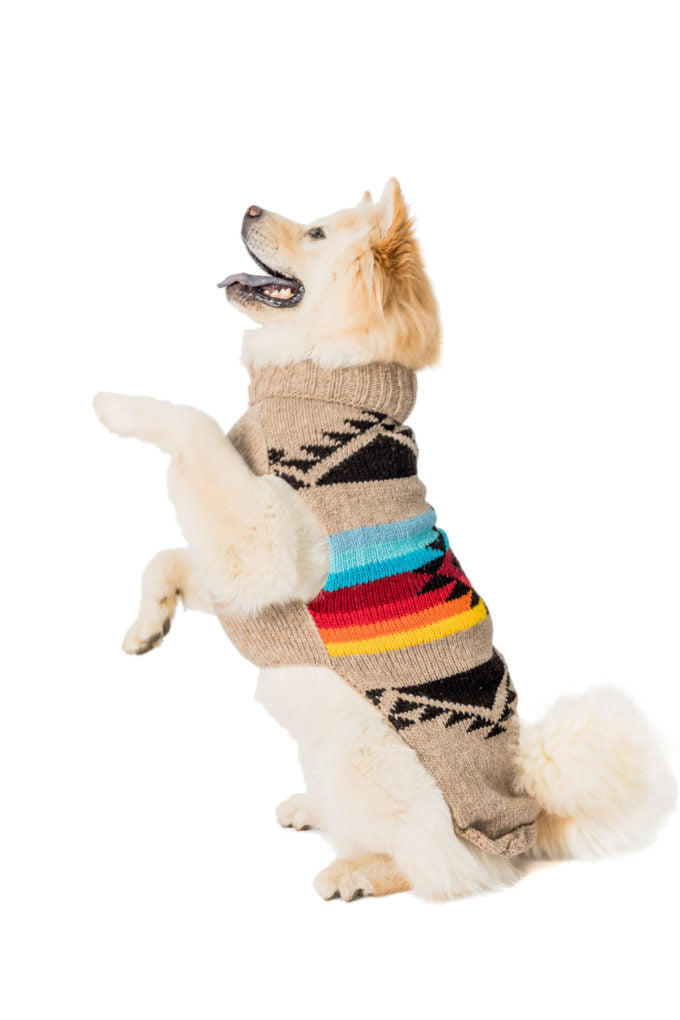 Chilly Dog - Painted Desert Wool Dog Sweater