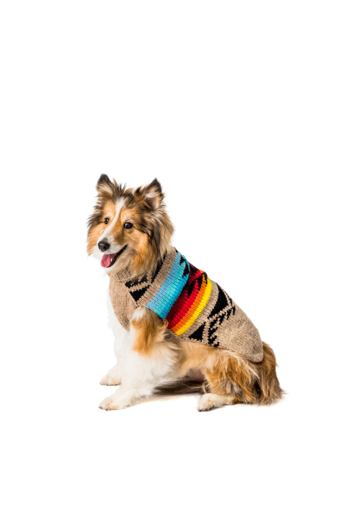 Chilly Dog - Painted Desert Wool Dog Sweater