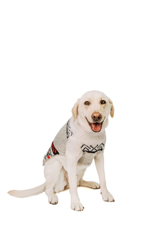 Chilly Dog - Bunny Patrol Wool Dog Sweater