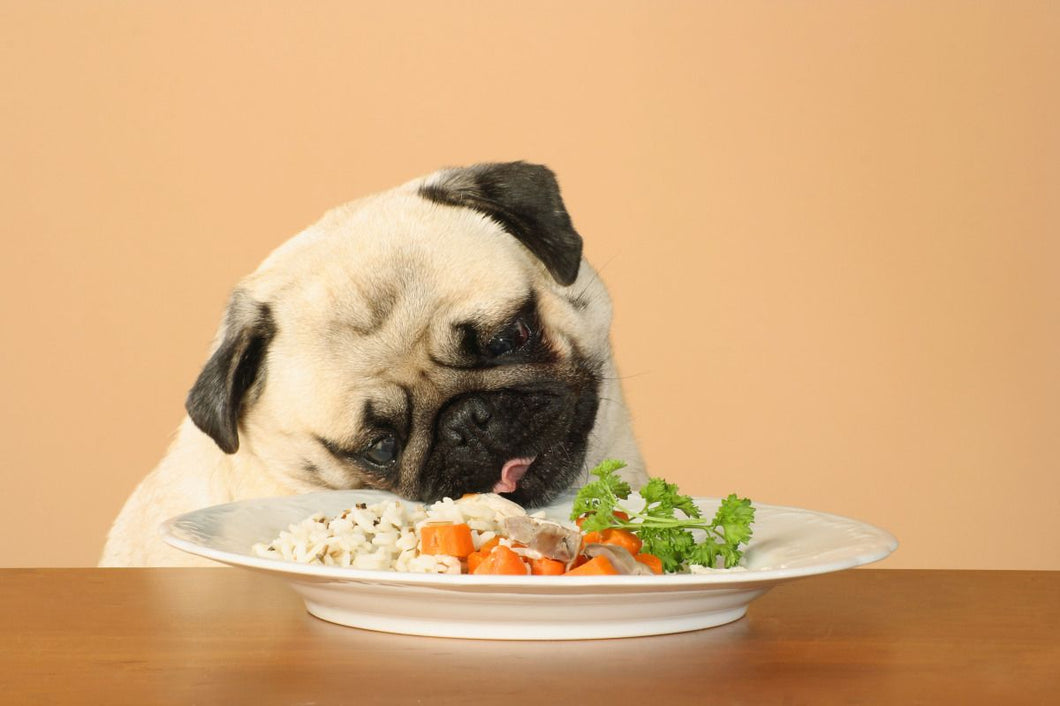 Canine Nutrition 101
