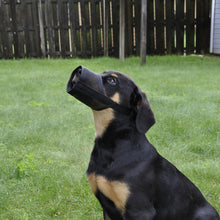 Load image into Gallery viewer, Best Fit - Adjustable Mesh Muzzle