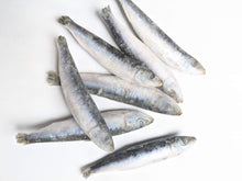 Load image into Gallery viewer, Woofur Frozen Sardines - 227g - Chubbs Bars,  - pet shampoo, Woofur Natural Pet Products - Chubbs Bars Company, Woofur Natural Pet Products - Chubbs Bars Canada