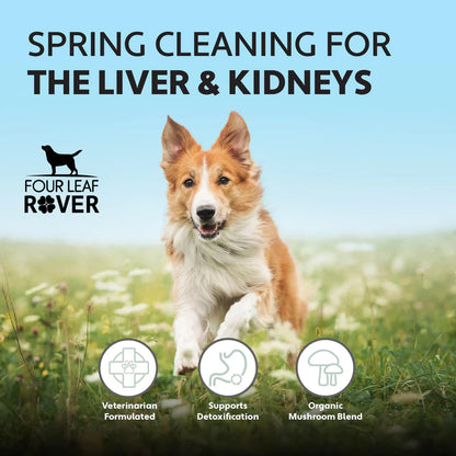 Four Leaf Rover - Liver/Kidney Clean 39.9g